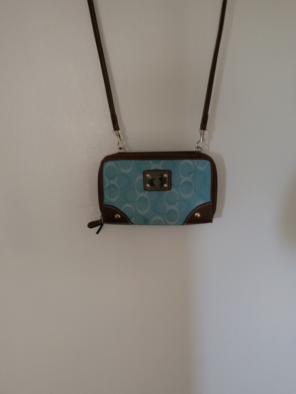 TrevisoTeal Signature Crossbody Wallet with Brown Trim